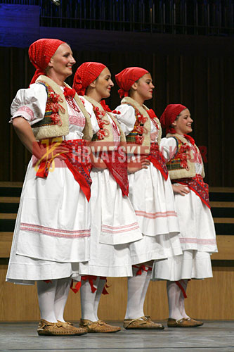 lisinskizeljeznicar (48)